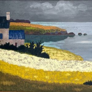La lande à Plougasnou