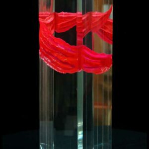 Griffé rouge